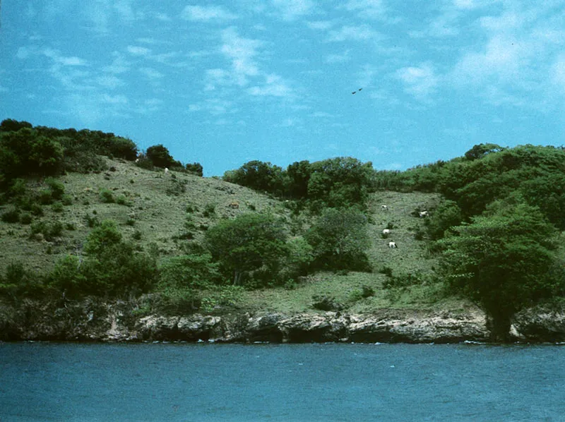 Providencia. Perfil cerca de Black Point.
Hernán Díaz