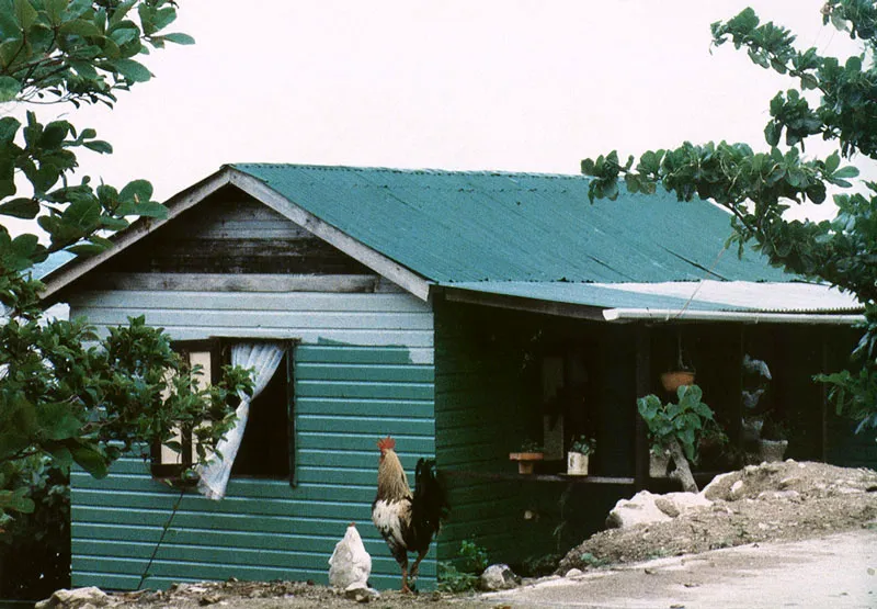 Providencia. Casita recin amanecida cerca de Boxan Swamp.
 Hernn Daz