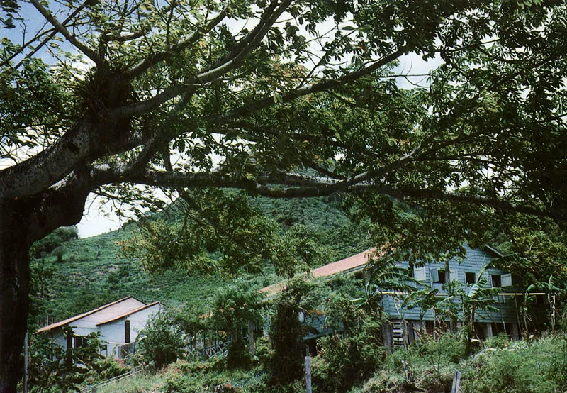 San Providencia. Casas casi ocultas en Dick Hill.
Hernán Díaz
