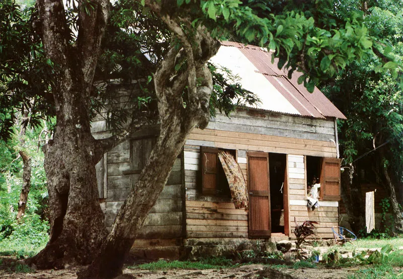 San Andrés. Casita tímida bajo roble de Orange Hill. Hernán Díaz