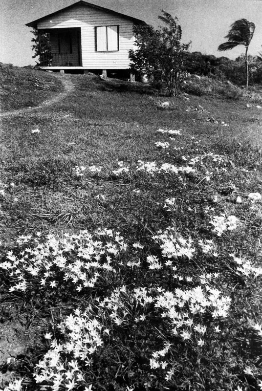 Providencia. La última colina.
Hernán Díaz