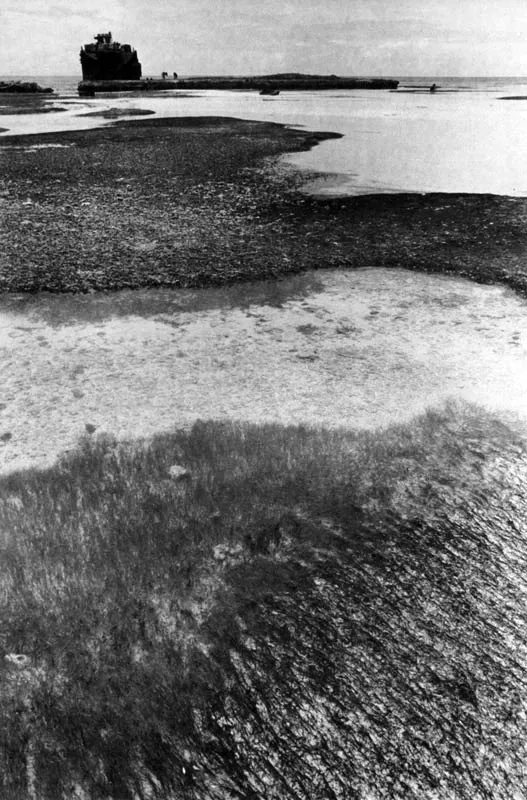 San Andrés. Arrecifes en Little Gaugh.
Hernán Díaz