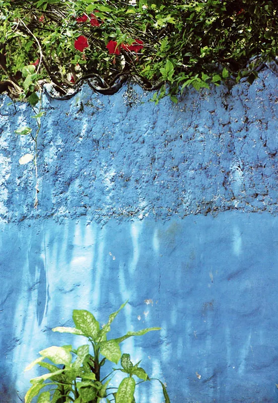 San Andrés. El mar en un muro.
Hernán Díaz