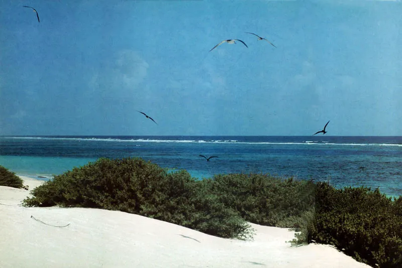 …y el islota de acá.
Hernán Díaz