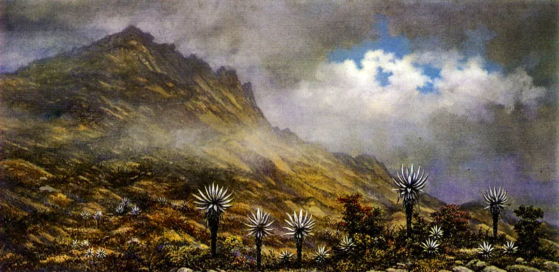 GONZALO ARIZA. Frailejones en el Páramo. 1975. Oleo sobre lienzo. 90 x 165 cm. Colección Cemento Samper, Bogotá.