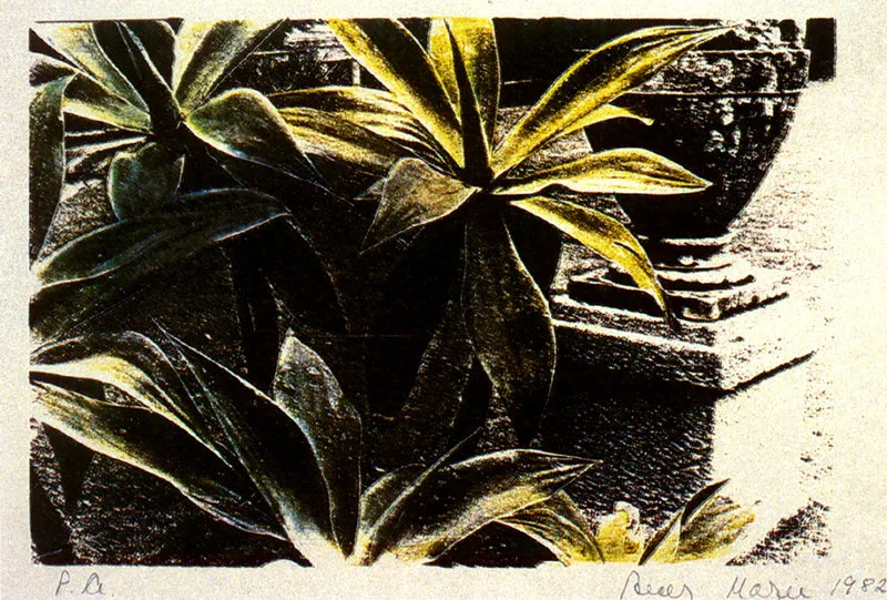 BECKY MAYER
Sin título. 1982.
Xerografta coloreado a mano. A.P. 21.8 x 28.2 cm.
Colección Museo de Arte Moderno de Bogotá