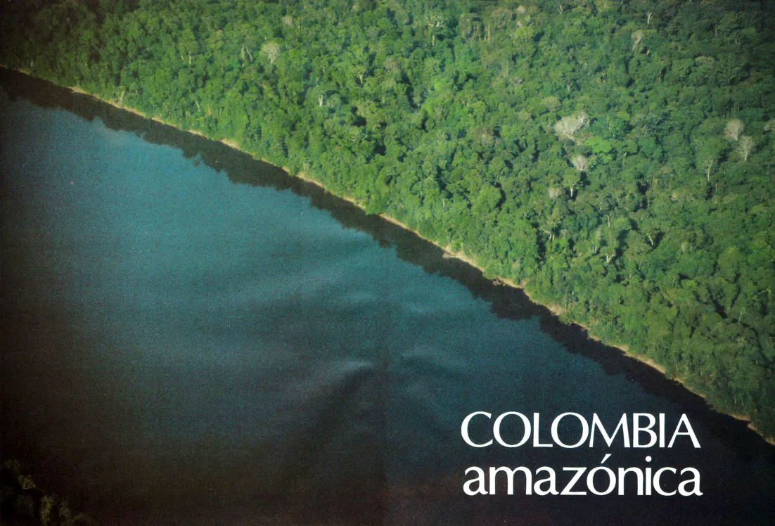 Sector de selva en las márgenes del río Caquetá, con presencia de especies arbóreas que pierden su follaje estacionalmente (caducifolias).