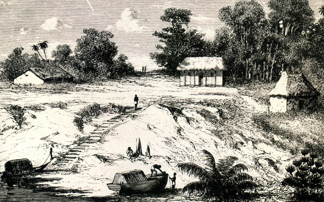 Dos imgenes del Ro Negro, publicadas en la segunda edicin (1889) de la narracin de los viajes de A. Russell Wallace por la Amazona. 