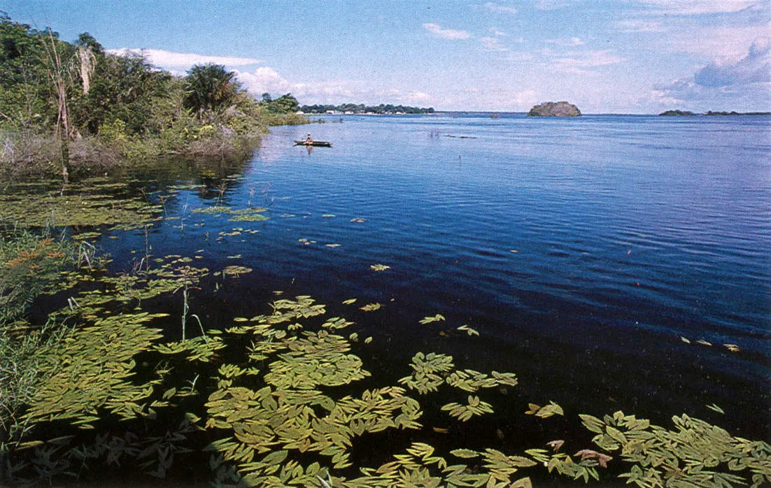 "La cruz del sur, lugar de encuentro de los ros Atabapo, Guaviare y Orinoco, en la frontera colombo venezolana. 