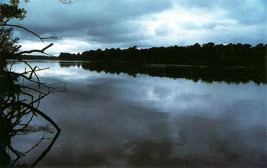 Río Apaporis. Esta corriente fluvial recorre territorios con alta significación cultural dentro de la Amazonía Noroccidental, área que presenta marcadas particularidades antropológicas y biogeográficas.