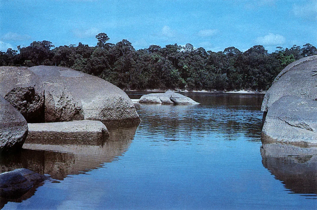 Raudal del Mocho, en el medio río Apaporis.