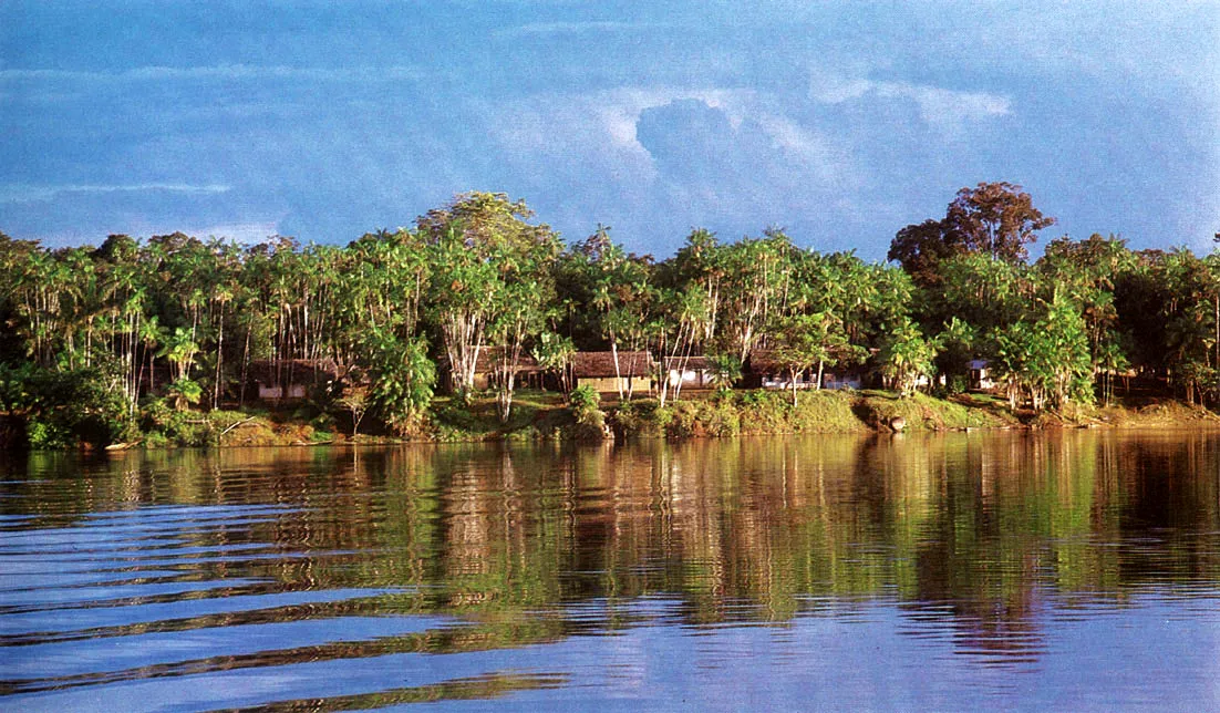 Un sector del Río Negro en el Brasil.