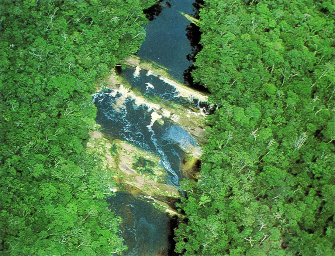 Can de Araracuara, ro Caquet. Esta corriente fluvial, de aguas blancas o
barrosas, es uno de los mayores aportantes de riqueza mineral de los Andes donde tiene lugar su nacimiento a la regin amaznica. 