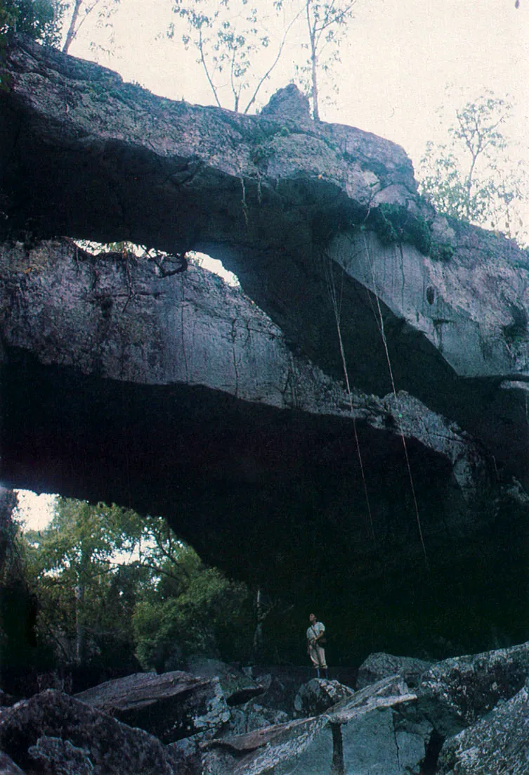 Puentes naturales de San Jos del Guaware, pertenecientes ala formacin Araracuara, Era Paleozoica. 