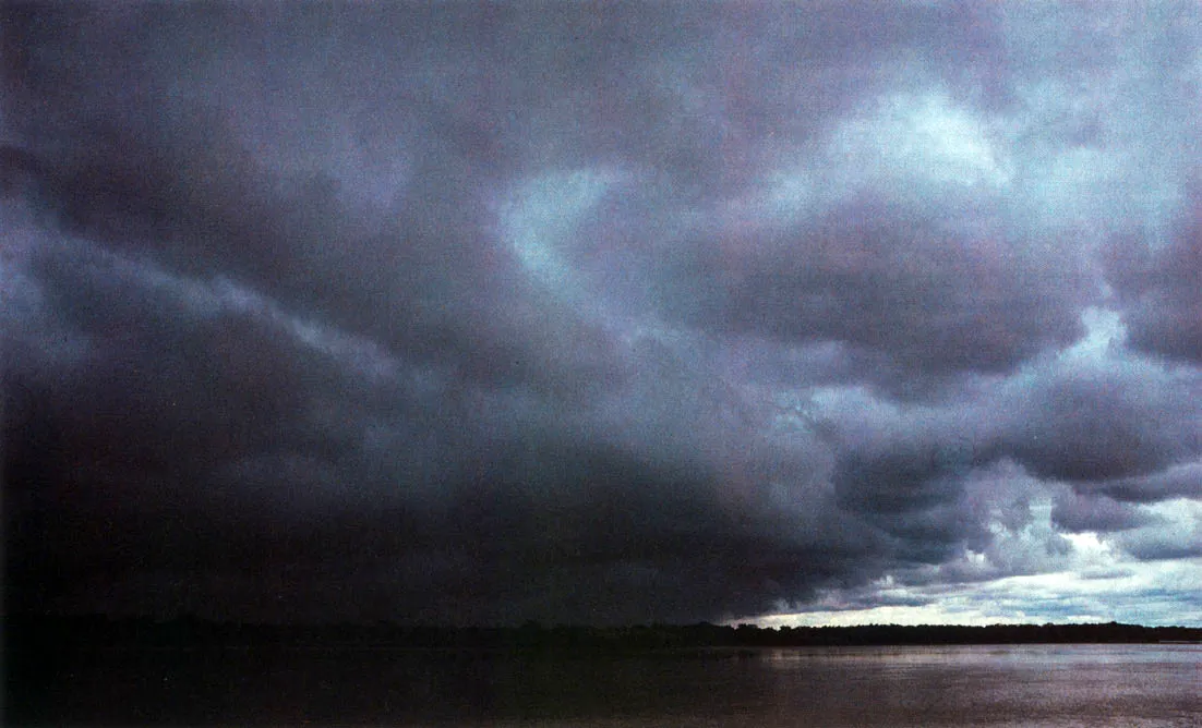 Inicio de lluvia sobre el ro A Atabapo. En los territorios amaznicos colombianos ocurren frecuentemente eventos pluviales de 50 y ms milmetros de precipitacin en un da. Y no son raros los casos de 100 y hasta de 200 mm en el mismo lapso. Esta situacin pone de presente las limitaciones y peligros de los modelos de cultivos 1 Vi " limpios . os para el uso de la tierra en esta regin. 