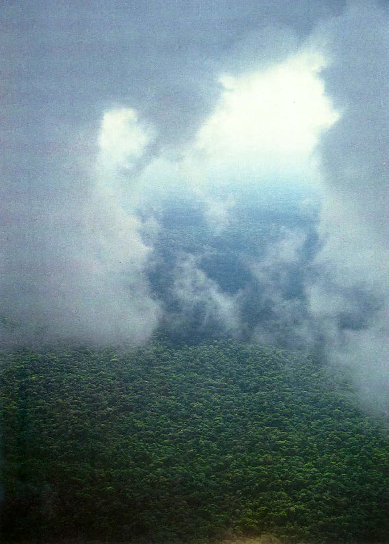 Nubosidad baja sobre el bosque amaznico Investigaciones recientes sugieren que aproximadamente el 5696 de vapor de agua transferido horizon ? talmente (adveccin) en la Amazonia, se recicla al interior de la misma cuenca. El 44% restante deja la cuenca y "subsidia " regiones del norte y del sur de la misma. 