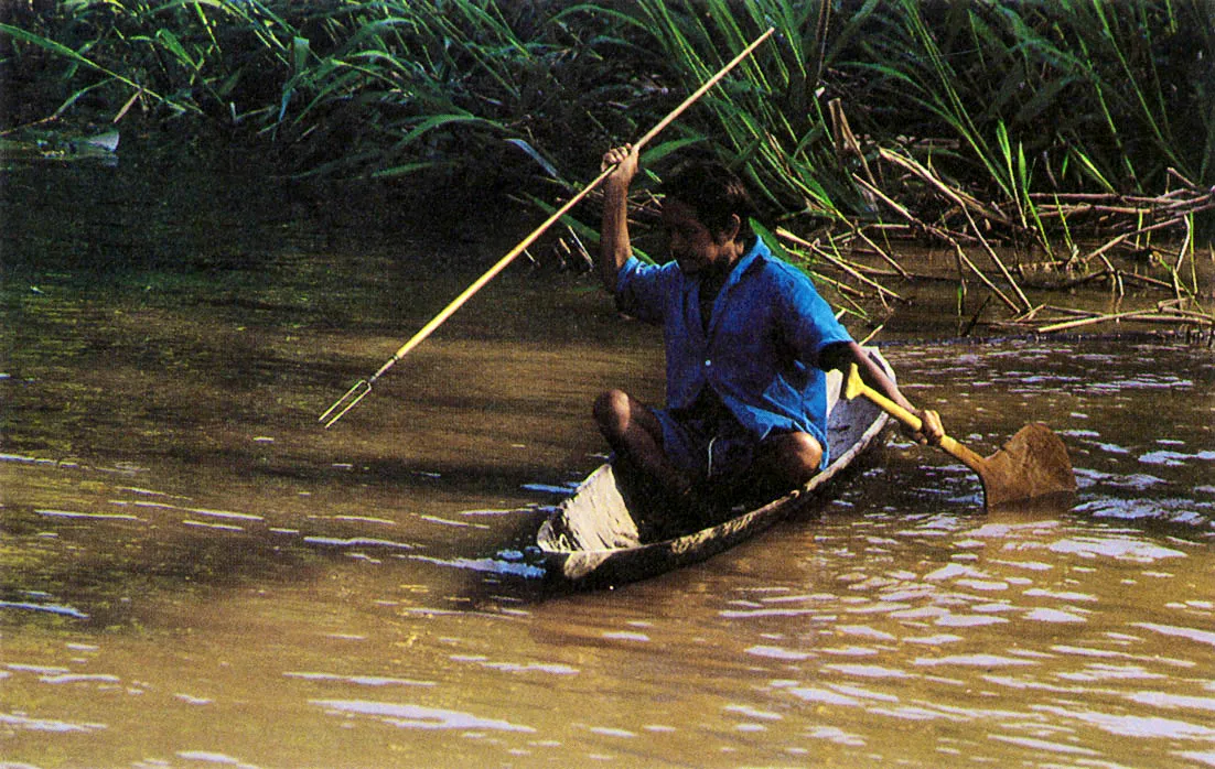 La pesca con arpn, tcnica tradicional aborigen exige al al pescador especial des treza y un gran conocimien to del com ?portamiento animal. 