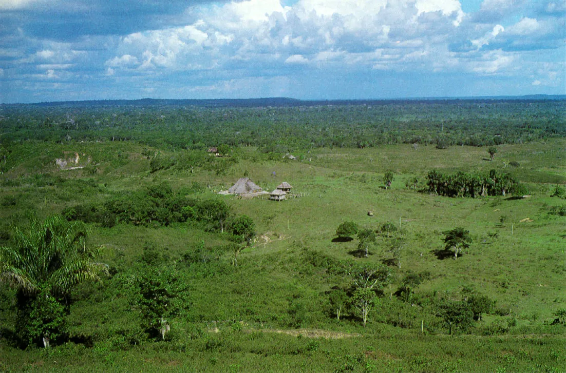 Zona deforestada con pastizales artificiales, en Araracuara, sobre el ro Caquet. Al fondo se observa un sector de las mesas de Araracuara, con vegetacn casmoquersoftica. 