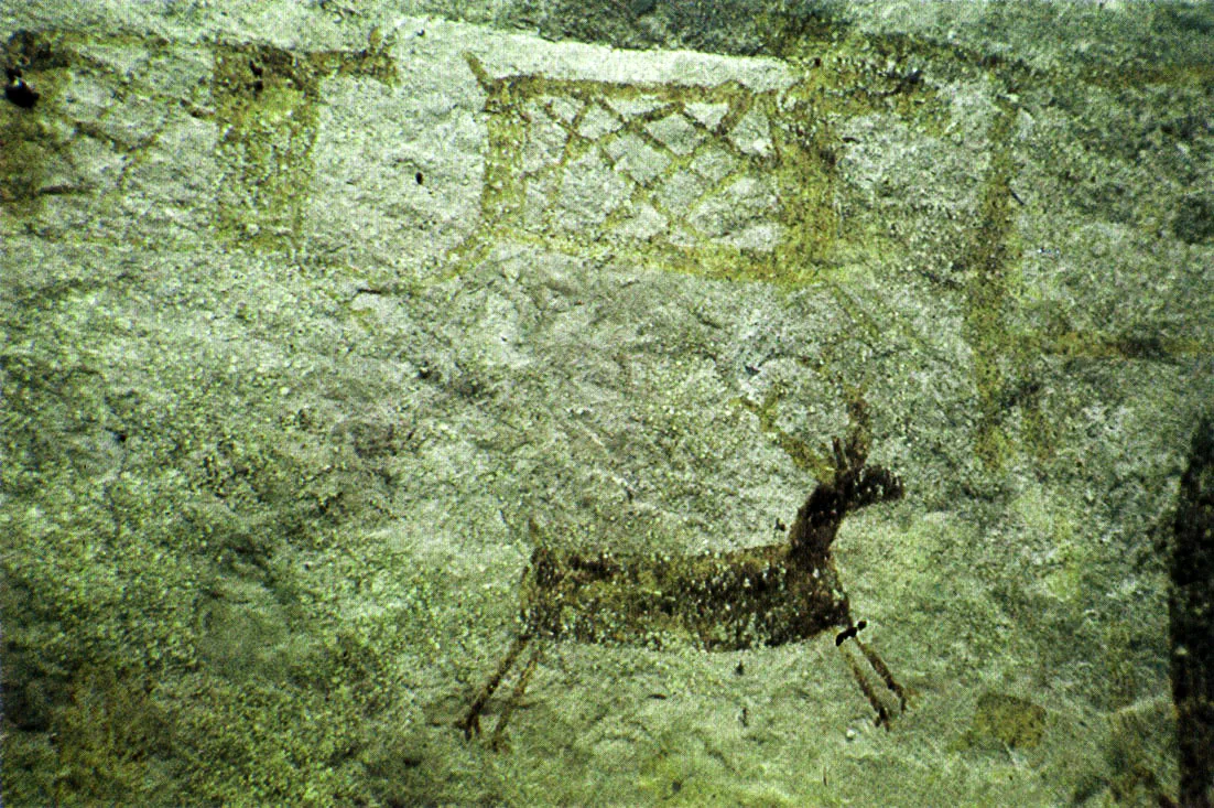 Pictografa de Cerro Pintado, rea del ro Inrida, Las serranas, mesetas y cavernas fueron sitios sagrados desde donde se observaba y realizaba una contabilidada de flujos energticos, ante todo de los biotopos alterados con la caza. 