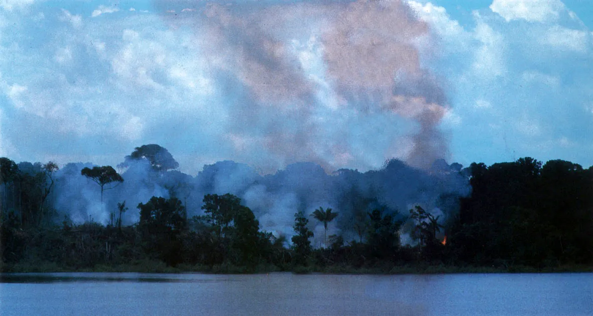 Quema del bosque en una vega o área inundable. La aplicación de la técnica de “tumba y quema ", o “tala y quema ", en las orillas de las corrientes de agua, es característica de los colonos. Las técnicas aborígenes del uso del suelo. por el contrario, protegen las márgenes de los ríos y quebradas contra todo deterioro ecológico que conduzca a la disminución de los recursos florísticos o faunisticos.