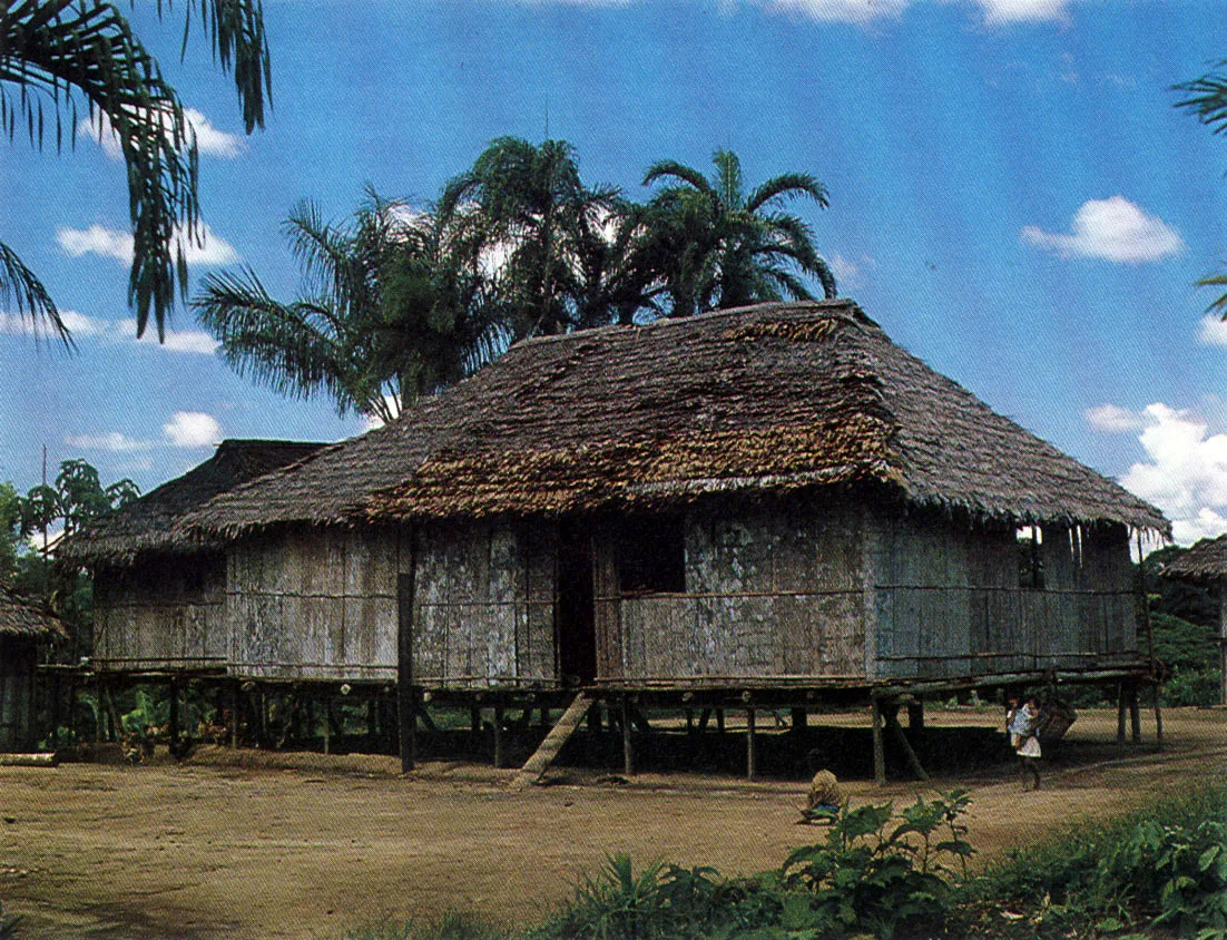 Viviendas Tikuna, con paredes y pisos de palma de "chonta" " Los grupos de esta etnia, que antiguamente habitaban en malocas ahora viven en casas unifamiliares, en poblados a lo largo del río Amazonas y de algunos de sus afluentes.