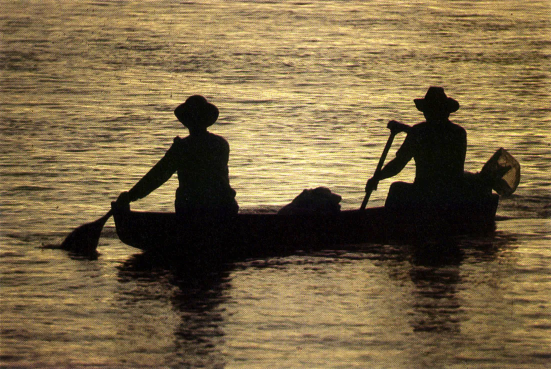 La colonizacin en la Amazonia tiene un alto nivel de exigencias para quienes, Como campesinos del interior, se aventuran en ella. 