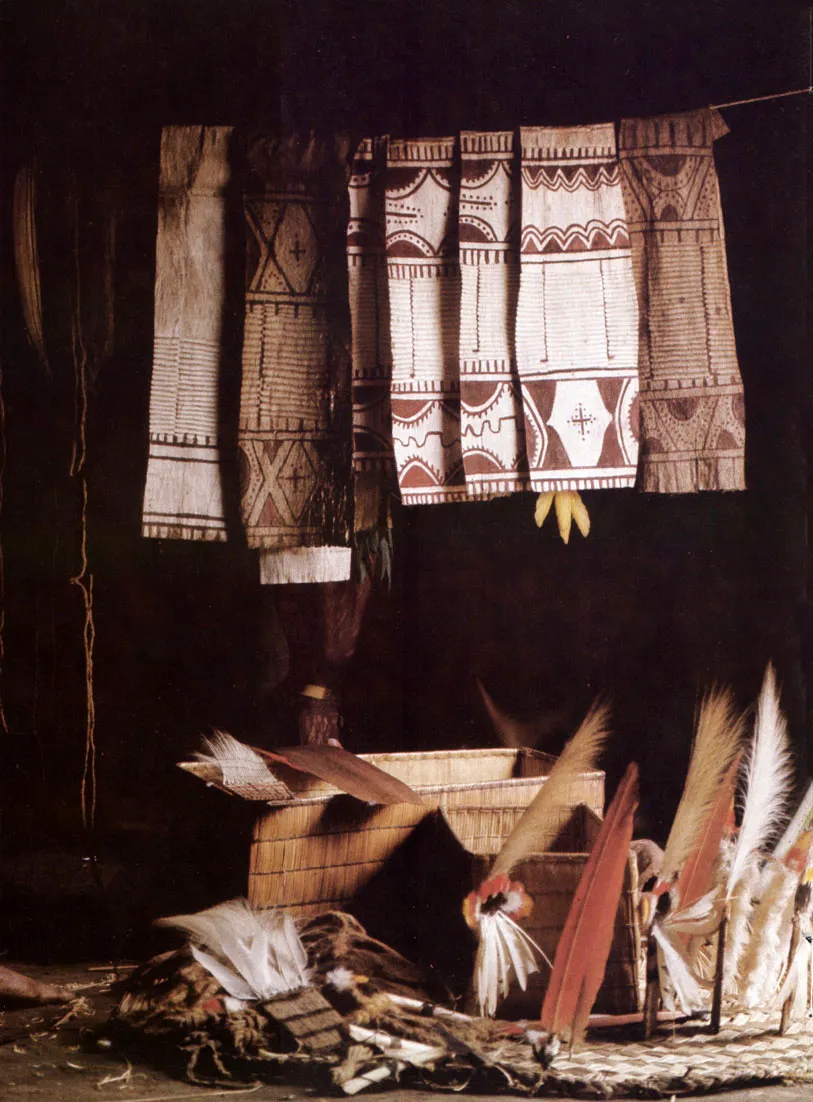 Plumas utilizadas en bailes durante rituales de intercambio de bienes y servicios entre grupos indígenas y entre la sociedad y la naturaleza; obsérvense las cajas de trenzados vegetales que se usan para guardarlas.