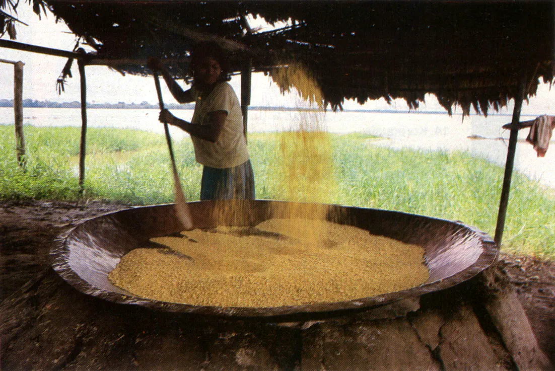 El proceso de deshidratación de la yuca, para convertirla en fariña, materia granulosa, permite su almacenamiento, transporte y comercialización.