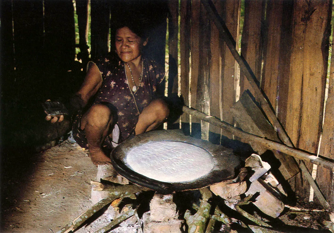 La elaboracin del casabe sobre un tiesto o budare de cermica (con o sin bordes) es tradicional de la Amazona. Este alimento se prepara con masa fibrosa de yuca y almidn de la misma materia. 