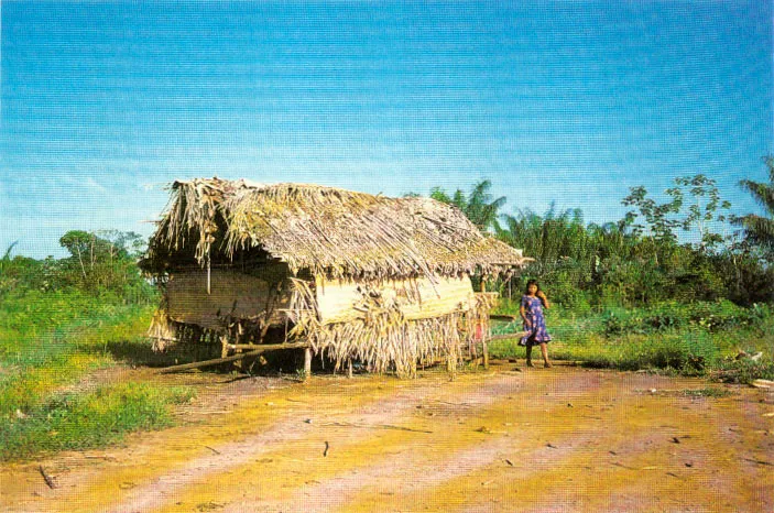 Campamento estacional de familias Puinave, en las playas del río Inírida. En sitios como este, tales poblaciones se dedican a explorar y explotar recursos disponibles cíclicamente, en la época de verano (noviembre ? febrero); algunos indígenas pescan, mientras otros se internan en el monte para extraer la fibra de chiquichiqui, objeto de comercio.
