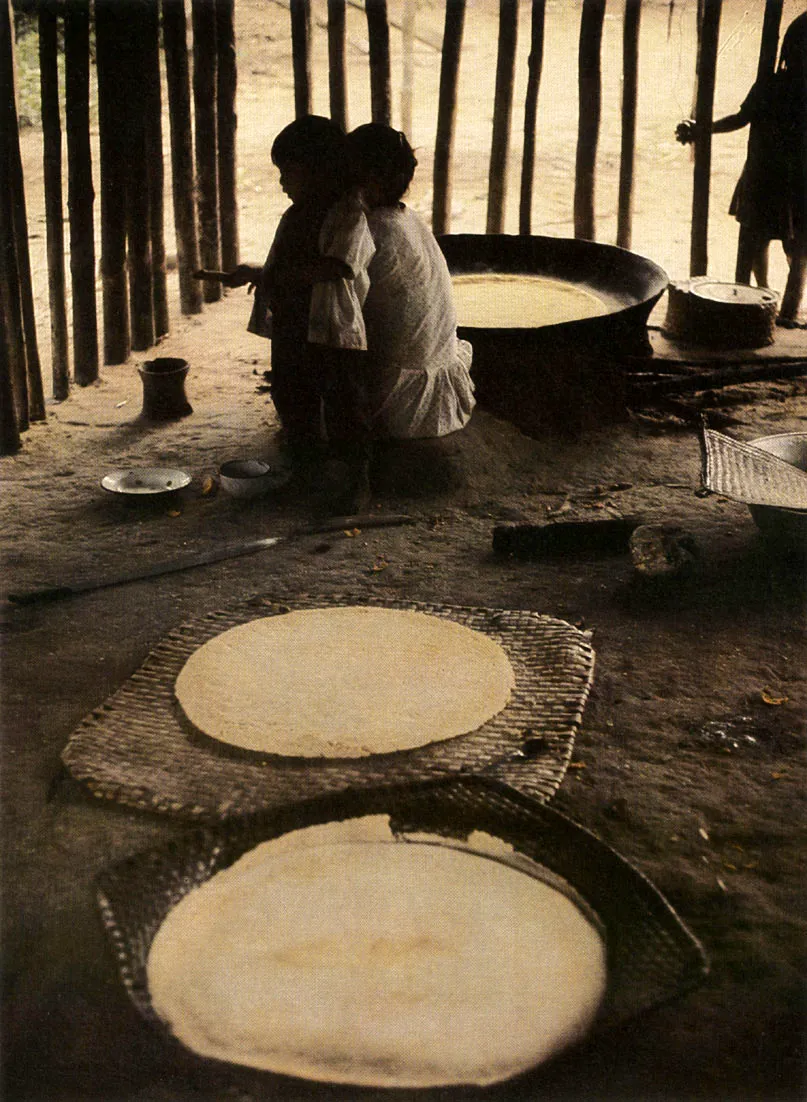 Casabe enfrindose sobre esteras que normalmente se usan como recipientes de la masa cernida de la yuca. Parte del casabe producido se consume inmediatamente, y parte se almacena tras deshidratarlo al sol, sobre los techos de las viviendas y plataformas. 