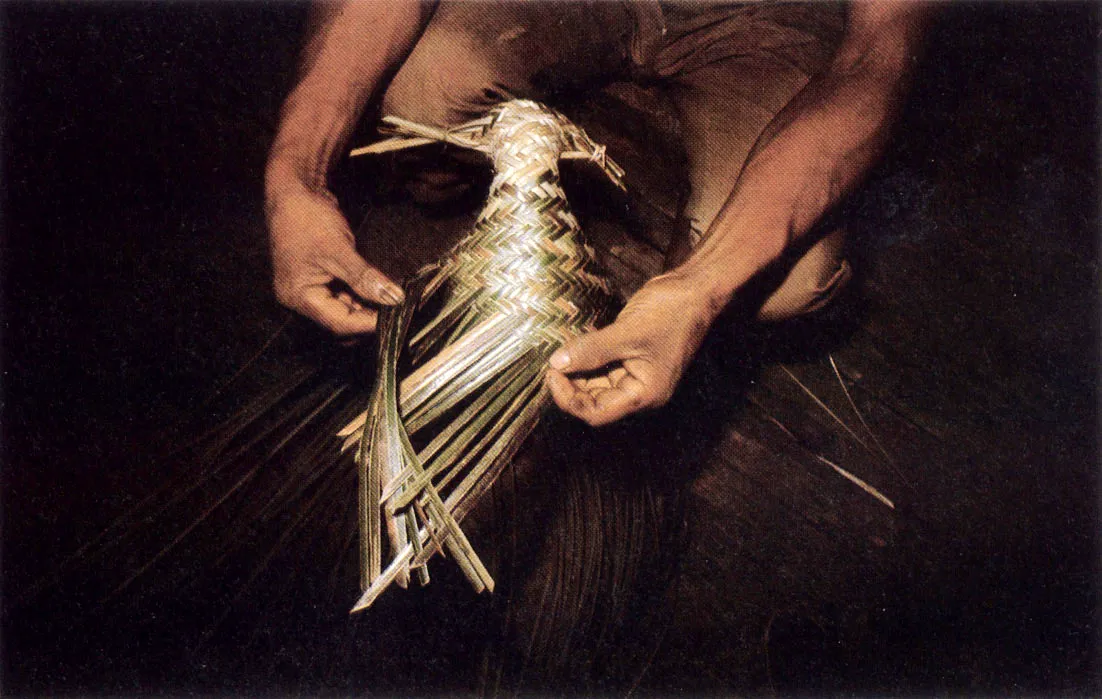 La elaboración del fipití. matafrío o sebucán, es tarea de los hombres. Este instrumento simboliza una???boa?que transforma la yuca y la desintoxica. El tejido tubular, cuando se lo tensa, permite exprimir el ácido prúsico de la masa.