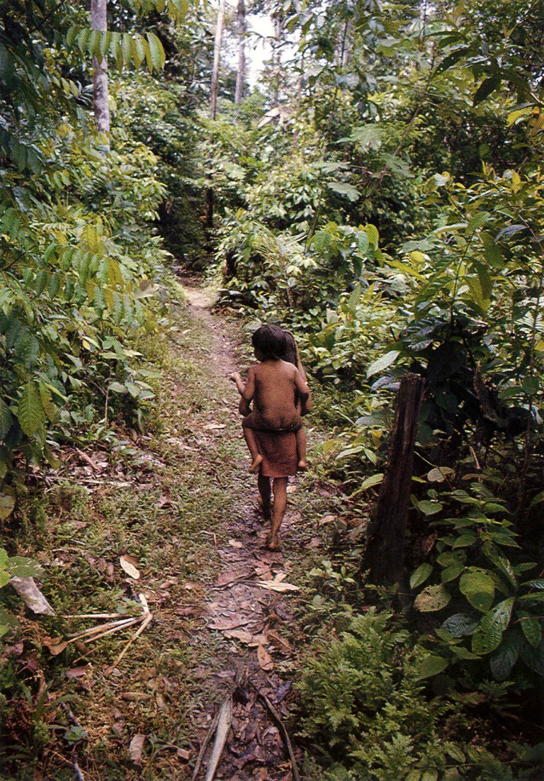 Una gran red de trochas y senderos
comunica a las étnias de la Amazonia. . a.
Los niños más pequeños son transpor
tados a veces por sus hermanas, esti
mulándose, así, el desarrollo de su equi
librio y de su fuerza muscular, a la vez
que adquieren responsabilidades como
socializadoras.