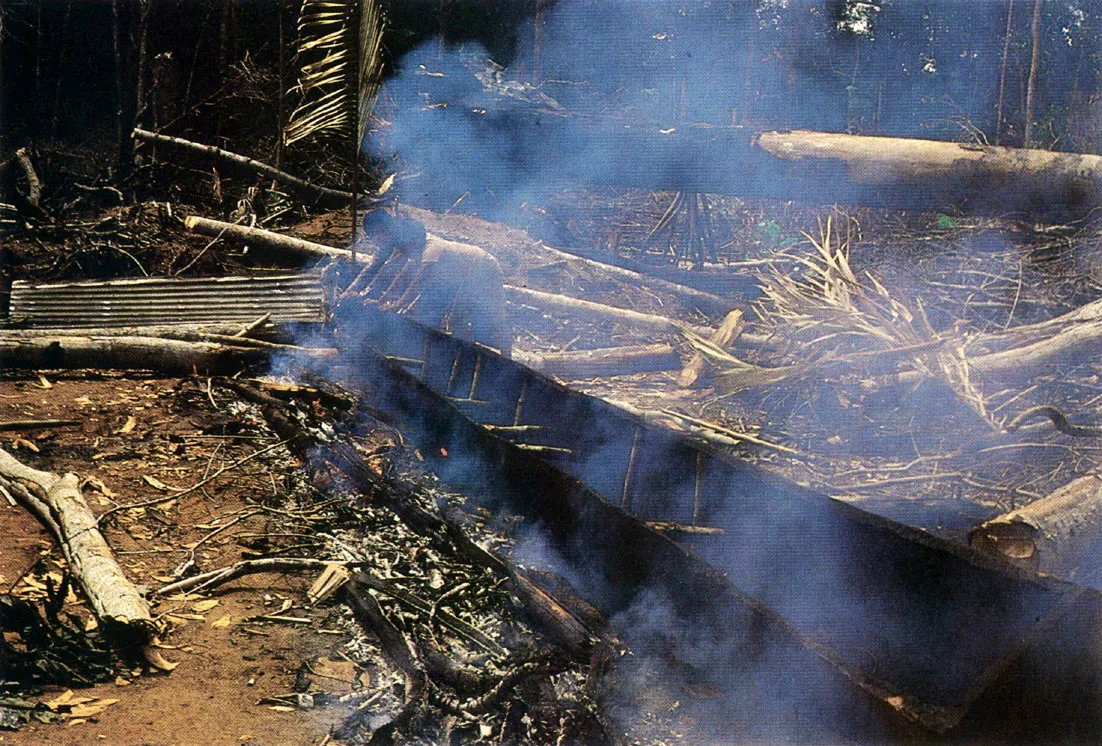 La construcción de una canoa in volucra una serie de pasos que van desde escoger el árbol, tumbarlo y tallarlo, hasta quemarlo para dejar el material del vehículo del grosor apropiado Un saber especializado, e incluso secreto, acompaña a ciertas fases técnicas de este proceso.