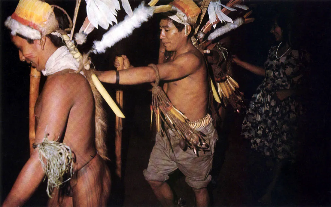 Indígenas Tátuyo durante un ritual. Las coronas de plumas son sagradas. Las mujeres bailan hacia la periferia de la maloca, y los hombres y ancianos hacia el centro Nótense los brazaletes de hierbas (generalmente perfumadas) y de plumas. con sonajeros, así como el cascabel del pie derecho, para marcar el compás del baile.