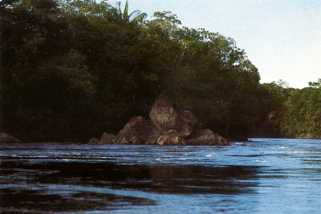 Raudal del Ñi. río Piraparaná, situado en la línea ecuatorial. El petroglifo que se observa en la piedra del centro, hace alusión a la creación de la humanidad en un sitio donde una lanza clavada por Pamurí?wáxse no proyectaba sombra al medio día.