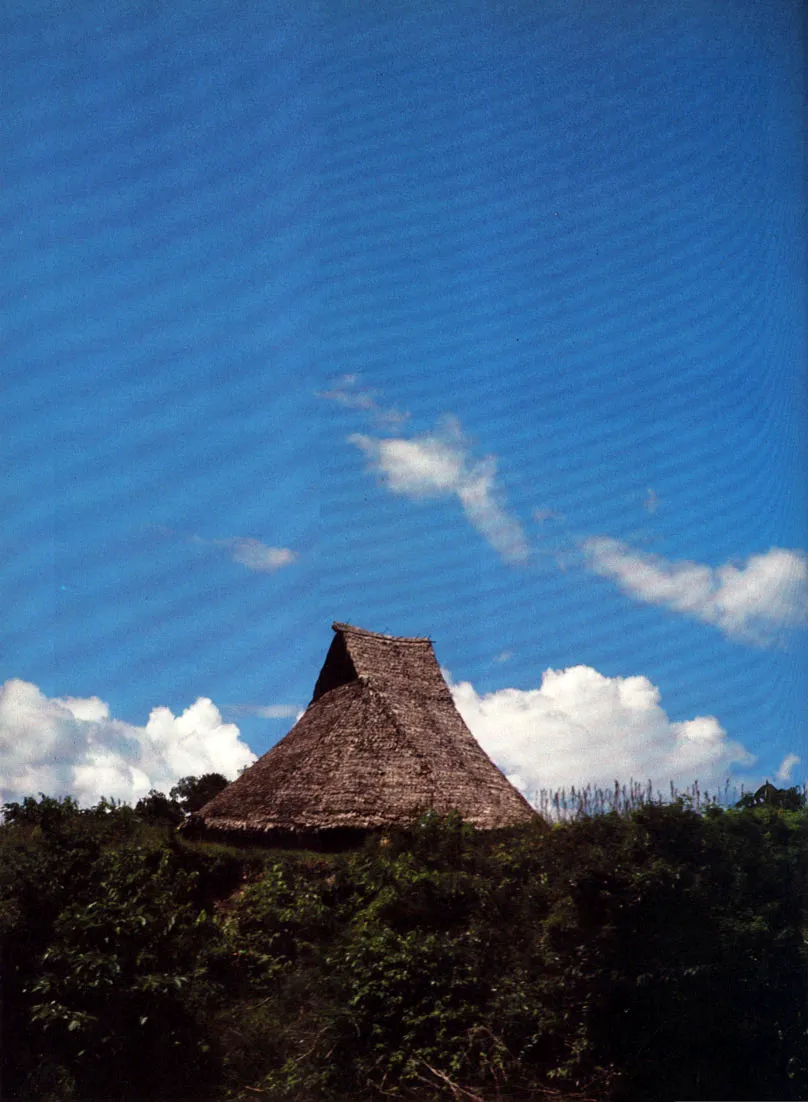 Maloca Tanimuka de] ro Guacay, en medio de un rastrojo. Generalmente estas edificaciones estn rodeadas de un rea circular con palmas de chontaduro. La orientacin de estas malocas tiene un sentido este?oeste y sus espa cios interiores y exteriores se encuentran divididos en una codificacin de reas de actividades y rangos, en las que se localiza a las personas y grupos segn su posicin socio?poltica.
 