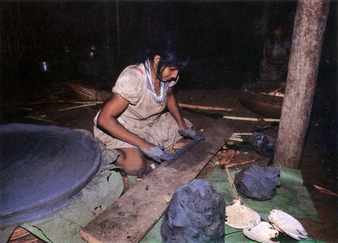 Mujer Tanimuka?Letuama confeccionando un plato para preparar casabe y tostar coca. A la greda se le mezcla ceniza de árbol jontía. El tiesto se alisa con hongos, piedras y totumos.
