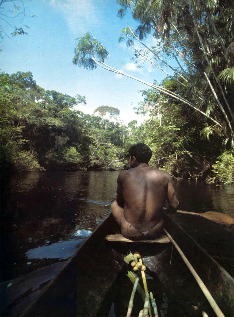 Indgena Tatuyo del Cao Utya, de la red fluvial del ro Piraparan. Los aborgenes son conocedores profundos del medio en el que actan, lo respetan y buscan permanentemente un equilibrio entre su uso y su conservacin. 