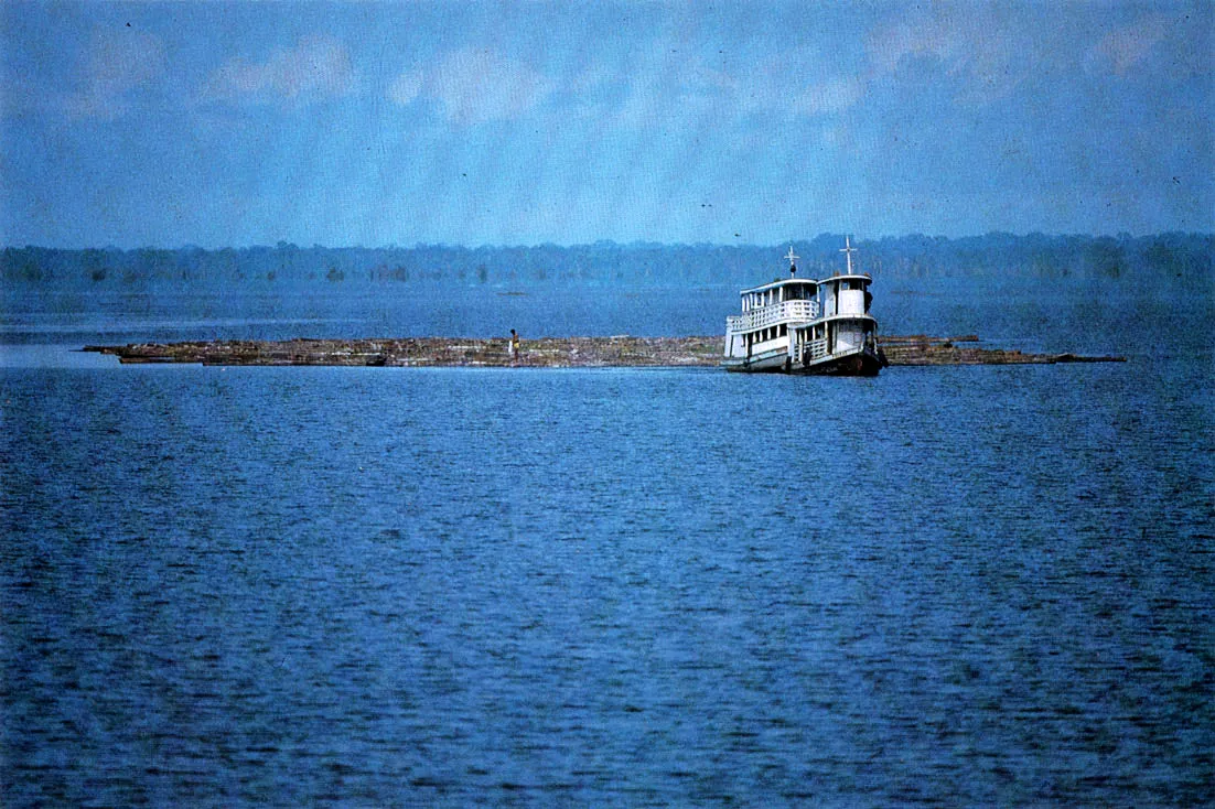 Jangada. Traslado de troncos hasta los aserríos. Escena común en la Amazonia. En Colombia es particularmente frecuente en el río Putumayo.