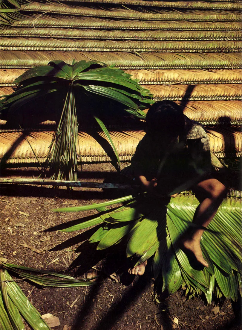 Indgena Tanimuka trenzando Paos de hojas de palmera, utilizados en la construccin de las viviendas. Este uso del material vegetal, muy difundido y diverso entre los aborgenes amaznicos, ha sido asimilado y adaptado por las corrientes colonizadoras. 