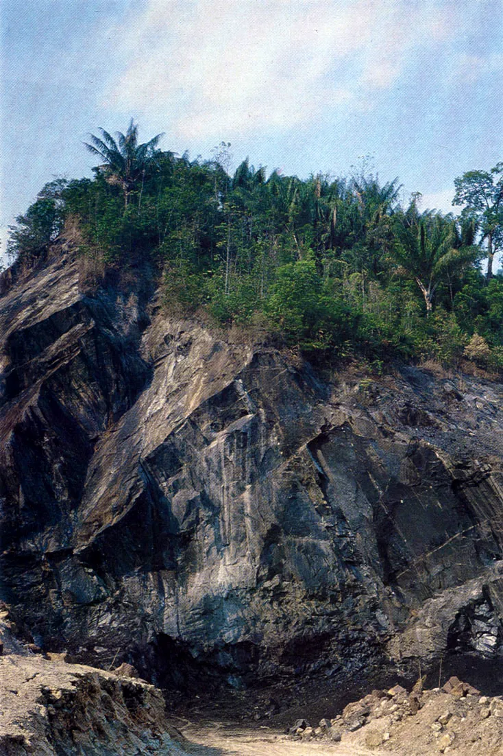 Mina de asfalto en El Doncello. Caquetá. La minería no se ha consolidado como factor sostenido en la explotación del suelo amazónico colombiano. Con todo, a algunos periodos de auge, el del petróleo entre los más recientes, se suman ahora previsibles desarrollos en torno de los descubrimientos de oro al oriente del Vaupés y del Guainía.