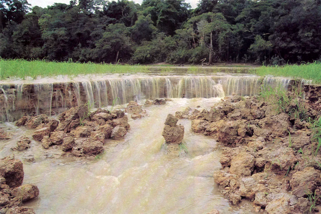 Cultivo de arroz en área cercana al piedemonte. Obsérvese el proceso de erosión hídrica. Para mantener los niveles productivos de los suelos amazónicos, se hace necesaria la asimilación de conocimientos adquiridos por los indígenas en el transcurso de sus experimentaciones milenarias, así como se precisa definir límites a la aplicación de técnicas de la agricultura de las zonas andinas y costeras, traídas por los colonos.