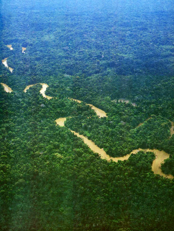 Ro afluente del Amazonas. 