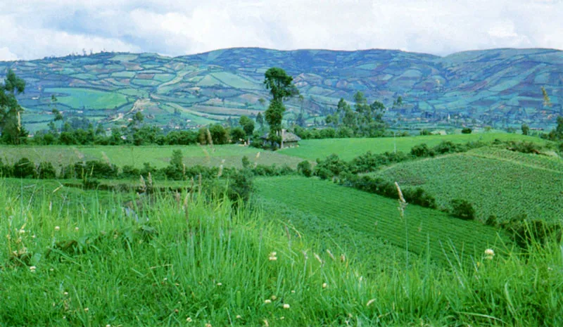 Paisaje nariense. 