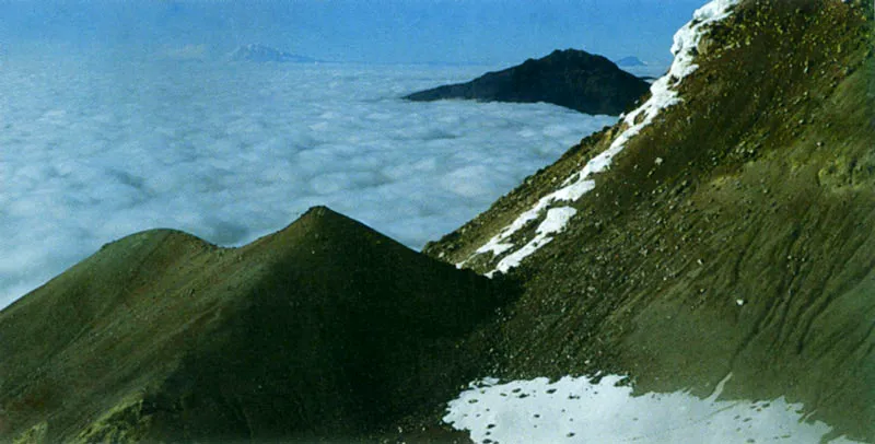 Parque de los Nevados en la cordillera Central.  