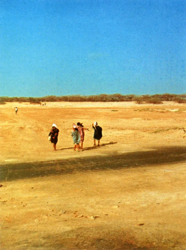 El desierto, las salinas de Manaure y el carbn del Cerrejn son los rostros actuales de la Guajira colombiana. 