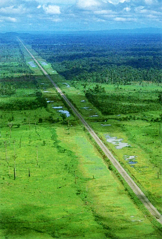 Carretera Panamericana en el tapn del Darin. 