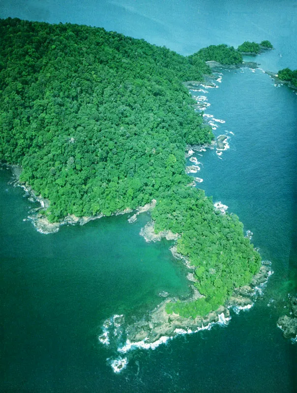 Vista de Gorgona, que acaba de pasar de prisin a la Isla Ciencia de Colombia.  