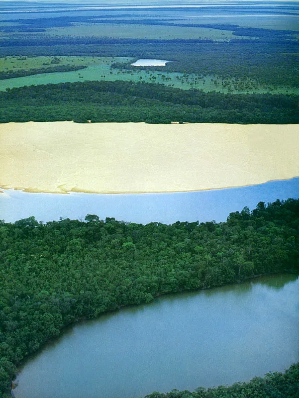 Playones del río Tomo en el Vichada.